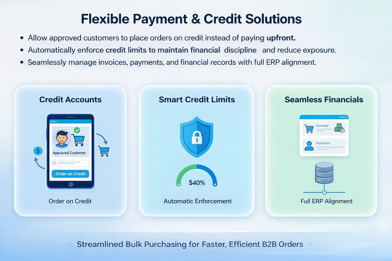 Flexible Payment & Credit Solutions